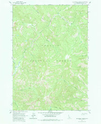 Download a high-resolution, GPS-compatible USGS topo map for Elevenmile Creek, ID (1984 edition)