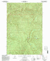 Download a high-resolution, GPS-compatible USGS topo map for Elizabeth Lake, ID (1997 edition)