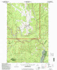 Download a high-resolution, GPS-compatible USGS topo map for Elk City, ID (1999 edition)