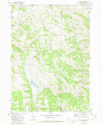 Download a high-resolution, GPS-compatible USGS topo map for Elk Valley, ID (1980 edition)