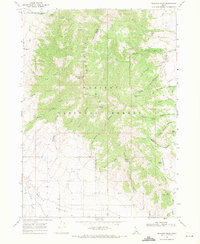 Download a high-resolution, GPS-compatible USGS topo map for Elkhorn Peak, ID (1971 edition)