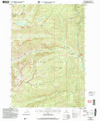 Download a high-resolution, GPS-compatible USGS topo map for Enos Lake, ID (2007 edition)