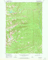 Download a high-resolution, GPS-compatible USGS topo map for Enos Lake, ID (1971 edition)