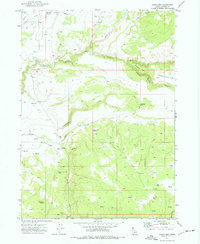 Download a high-resolution, GPS-compatible USGS topo map for Fairylawn, ID (1977 edition)