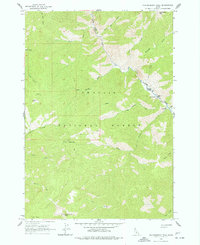Download a high-resolution, GPS-compatible USGS topo map for Falconberry Peak, ID (1977 edition)