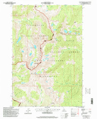 Download a high-resolution, GPS-compatible USGS topo map for Fenn Mountain, ID (1999 edition)