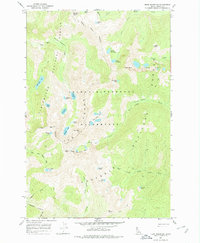 Download a high-resolution, GPS-compatible USGS topo map for Fenn Mountain, ID (1978 edition)