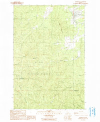 Download a high-resolution, GPS-compatible USGS topo map for Fernwood, ID (1991 edition)