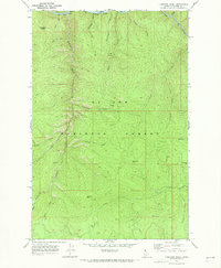 Download a high-resolution, GPS-compatible USGS topo map for Fishhook Creek, ID (1973 edition)