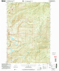 Download a high-resolution, GPS-compatible USGS topo map for Fitsum Peak, ID (2007 edition)