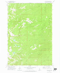 Download a high-resolution, GPS-compatible USGS topo map for Fitsum Peak, ID (1977 edition)