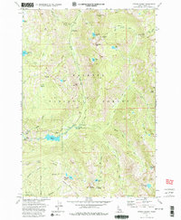 Download a high-resolution, GPS-compatible USGS topo map for Fitsum Summit, ID (1986 edition)