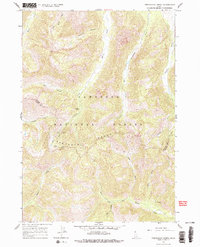 Download a high-resolution, GPS-compatible USGS topo map for Frenchman Creek, ID (1977 edition)