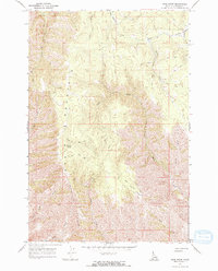 preview thumbnail of historical topo map of Nez Perce County, ID in 1968