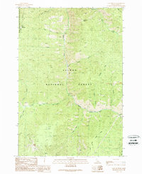 Download a high-resolution, GPS-compatible USGS topo map for Gant Mountain, ID (1989 edition)