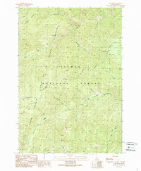 Download a high-resolution, GPS-compatible USGS topo map for Gant Ridge, ID (1989 edition)