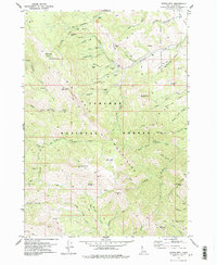 Download a high-resolution, GPS-compatible USGS topo map for Garns Mtn, ID (1978 edition)