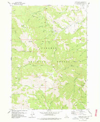 Download a high-resolution, GPS-compatible USGS topo map for Garns Mtn, ID (1978 edition)