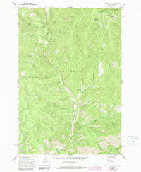 Download a high-resolution, GPS-compatible USGS topo map for Gibbonsville, ID (1989 edition)