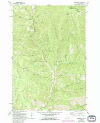 Download a high-resolution, GPS-compatible USGS topo map for Gibbonsville, ID (1994 edition)