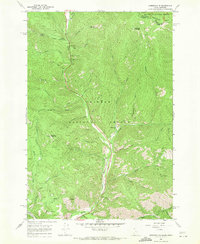 Download a high-resolution, GPS-compatible USGS topo map for Gibbonsville, ID (1971 edition)
