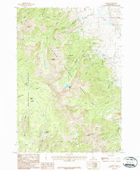 Download a high-resolution, GPS-compatible USGS topo map for Gilmore, ID (1987 edition)