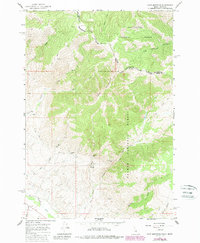 Download a high-resolution, GPS-compatible USGS topo map for Goat Mountain, ID (1989 edition)