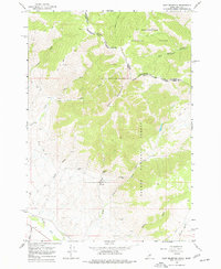 Download a high-resolution, GPS-compatible USGS topo map for Goat Mountain, ID (1977 edition)