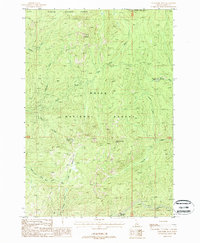 Download a high-resolution, GPS-compatible USGS topo map for Gold Fork Rock, ID (1988 edition)