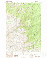 Download a high-resolution, GPS-compatible USGS topo map for Goldstone Mtn, ID (1989 edition)
