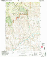 Download a high-resolution, GPS-compatible USGS topo map for Goodrich, ID (2007 edition)