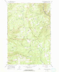 Download a high-resolution, GPS-compatible USGS topo map for Goodwin Meadows, ID (1964 edition)
