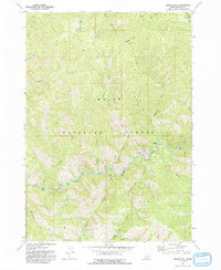 Download a high-resolution, GPS-compatible USGS topo map for Grand Mountain, ID (1993 edition)