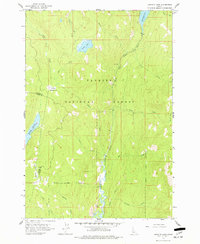 Download a high-resolution, GPS-compatible USGS topo map for Granite Lake, ID (1977 edition)