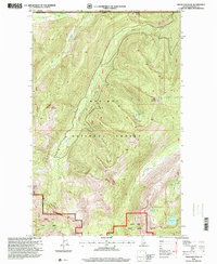 Download a high-resolution, GPS-compatible USGS topo map for Grass Mountain, ID (1999 edition)