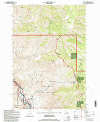Download a high-resolution, GPS-compatible USGS topo map for Grave Point, ID (1999 edition)