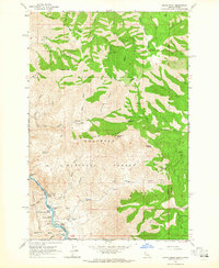 Download a high-resolution, GPS-compatible USGS topo map for Grave Point, ID (1965 edition)