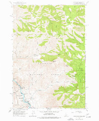 Download a high-resolution, GPS-compatible USGS topo map for Grave Point, ID (1977 edition)