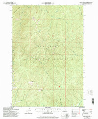 Download a high-resolution, GPS-compatible USGS topo map for Green Mountain, ID (1999 edition)
