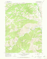 Download a high-resolution, GPS-compatible USGS topo map for Griffin Butte, ID (1971 edition)