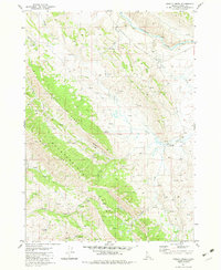 Download a high-resolution, GPS-compatible USGS topo map for Grizzly Creek, ID (1982 edition)