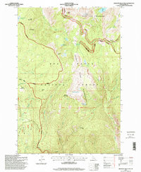 Download a high-resolution, GPS-compatible USGS topo map for Hanover Mountain, ID (1999 edition)