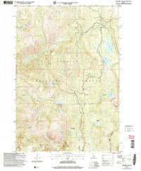 Download a high-resolution, GPS-compatible USGS topo map for Hazard Lake, ID (2007 edition)