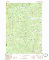 Download a high-resolution, GPS-compatible USGS topo map for Henderson Ridge, ID (1995 edition)
