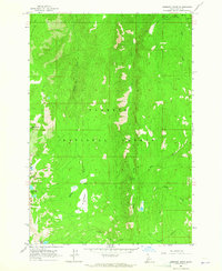 Download a high-resolution, GPS-compatible USGS topo map for Hershey Point, ID (1965 edition)
