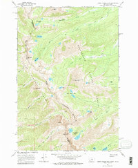 Download a high-resolution, GPS-compatible USGS topo map for Homer Youngs Peak, ID (1979 edition)