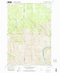 Download a high-resolution, GPS-compatible USGS topo map for Hoover Point, ID (1979 edition)