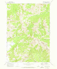 preview thumbnail of historical topo map of Custer County, ID in 1970