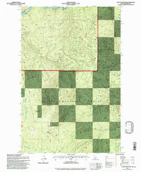 Download a high-resolution, GPS-compatible USGS topo map for Hoyt Mountain, ID (1997 edition)
