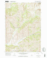 Download a high-resolution, GPS-compatible USGS topo map for Hyndman Peak, ID (1971 edition)